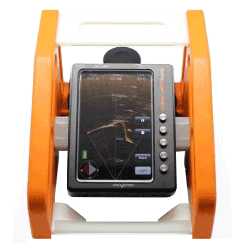 Echologger DS900