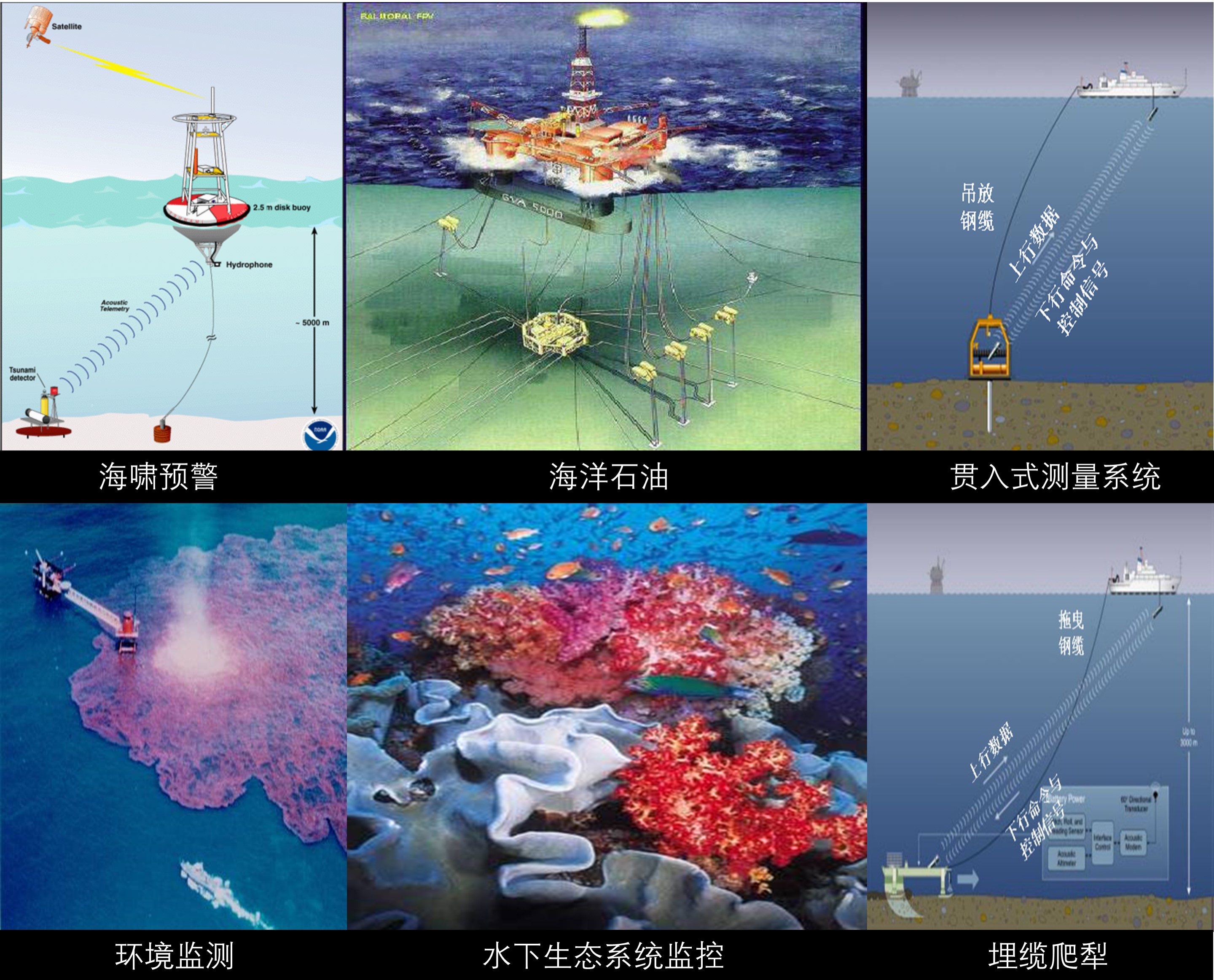 新建 Microsoft PowerPoint 演示文稿.jpg
